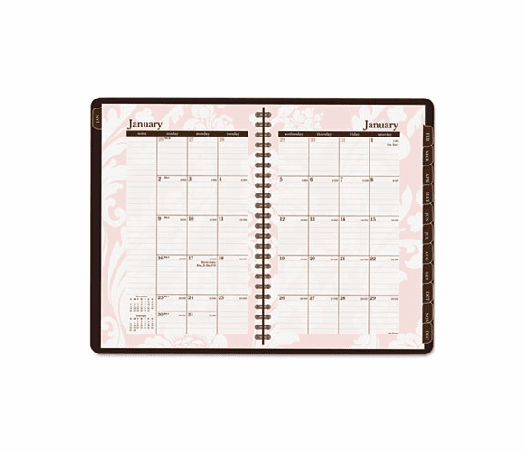AAG794200 Sorbet Weekly/Monthly Planner, 4-7/8 x 8, Brown, 2013 By AT-A-GLANCE