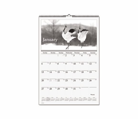 AAGDMW16328 Recycled Black-and-White Wall Calendar, 15-1/2 x 22-3/4, 2013 By AT-A-GLANCE