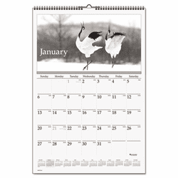 AAGDMW16328 Recycled Black-and-White Wall Calendar, 15-1/2 x 22-3/4, 2013 By AT-A-GLANCE