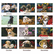 AAGDMW16728 Recycled Puppies Wall Calendar, 15-1/2 x 22-3/4, 2013 By AT-A-GLANCE