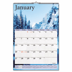 AAGDMW20128 Recycled Scenic Monthly Wall Calendar, 15 1/2" x 22 3/4", 2013 By AT-A-GLANCE