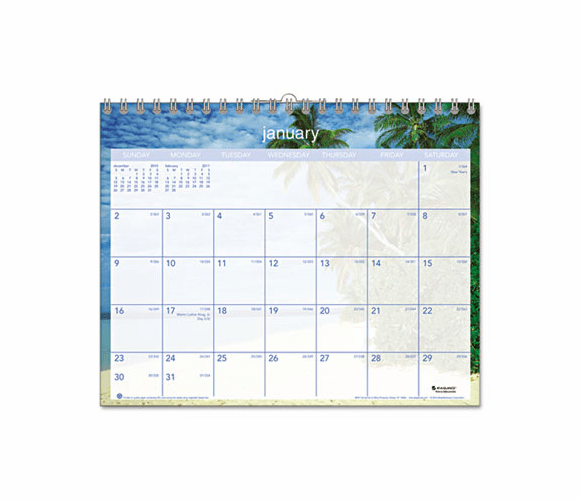 AAGDMWTE828 Tropical Escape Monthly Wall Calendar, 15 x 12, 2013 By AT-A-GLANCE