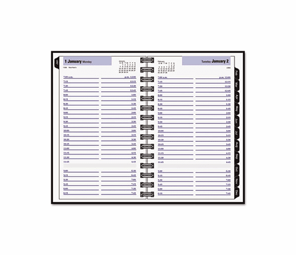 AAGG100H00 Recycled Daily Appointment Book, Black, 4 7/8" x 8", 2013 By AT-A-GLANCE