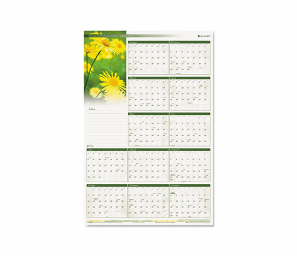 AAGPM464B28 Floral Erasable Wall Planner, 24 x 36, 2013 By AT-A-GLANCE