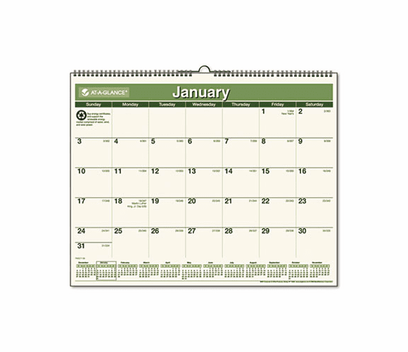 AAGPMG7728 Recycled Wall Calendar, Green, 15" x 12", 2013 By AT-A-GLANCE