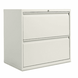 ALELA523029LG Two-Drawer Lateral File Cabinet, 30w x 19-1/4d x 29h, Light Gray By ALERA
