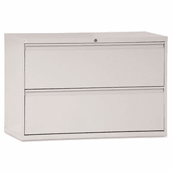 ALELA544229LG Two-Drawer Lateral File Cabinet, 42w x 19-1/4d x 29h, Light Gray By ALERA