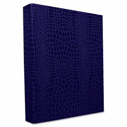 AUA10237 PROformance II Round Ring Binder, Non-View, Letter Size, 1" Capacity, Purple By AURORA PRODUCTS