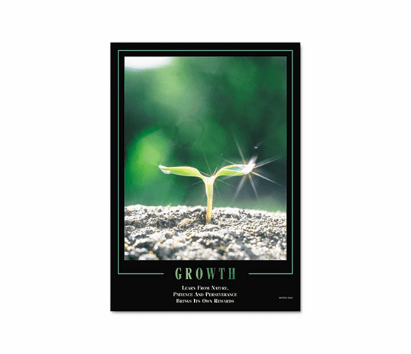 AUASCOFGA243 "Growth" Framed Motivational Print, 24 x 30 By AURORA PRODUCTS