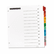 AVE11679 Office Essentials Table 'N Tabs Dividers, 12-Tab, Months, Letter, Assorted, Set By AVERY-DENNISON
