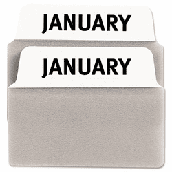 AVE16304 NoteTabs-Notes, Tabs and Flags in One, White, Jan.-Dec./Taupe, Two Inch, 24/Pack By AVERY-DENNISON