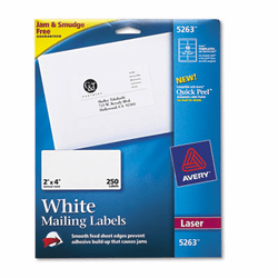 AVE5263 Shipping Labels with TrueBlock Technology, 2 x 4, White, 250/Pack By AVERY-DENNISON