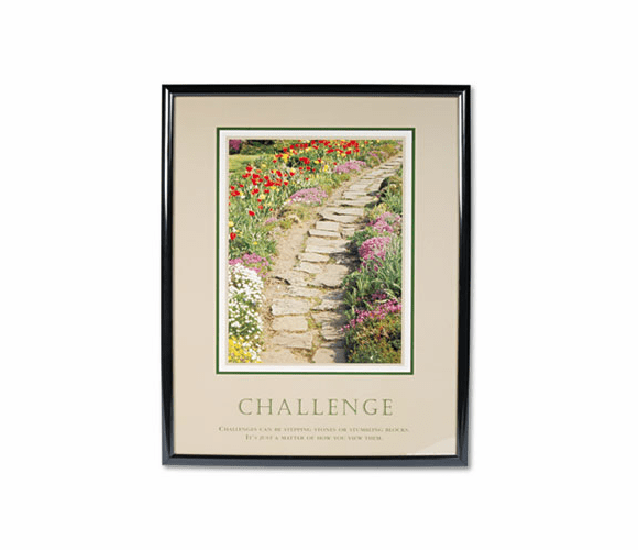 AVT78032 "Challenge"Framed Motivational Print, 24 x 30 By ADVANTUS CORPORATION
