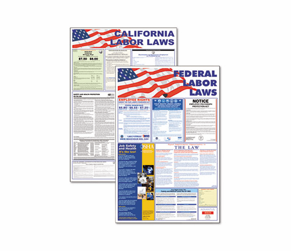 AVT83905 State/Federal Labor Lawith Legally Required Multi-Colored Poster, 24 x 30 By ADVANTUS CORPORATION