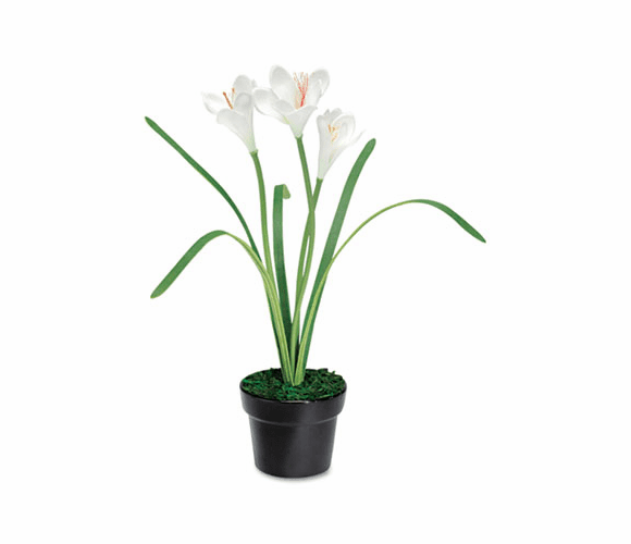 BAU98041 Artificial White Iris in a Black Ceramic Pot, 14" Overall Height By BAUMGARTENS