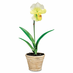 BAU98042 Artificial White Lady Slipper in a Terra Cotta Pot, 18" Overall Height By BAUMGARTENS