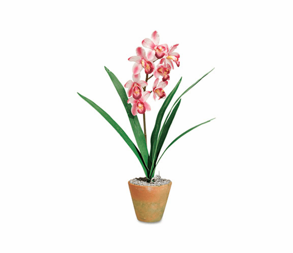 BAU98045 Artificial Pink Cymbidiums in a Terra Cotta Pot, 21" Overall Height By BAUMGARTENS