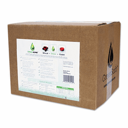 BCGGS20 Eco-Friendly Sorbent, Clay, 20-lb Box By BCG, INC.