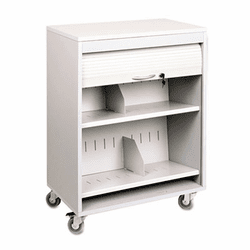 BDY542432 Tambour Locking Medical Cart, 2-Shelf, 26w x 17-3/4d x 34-3/16h, Platinum By BUDDY PRODUCTS