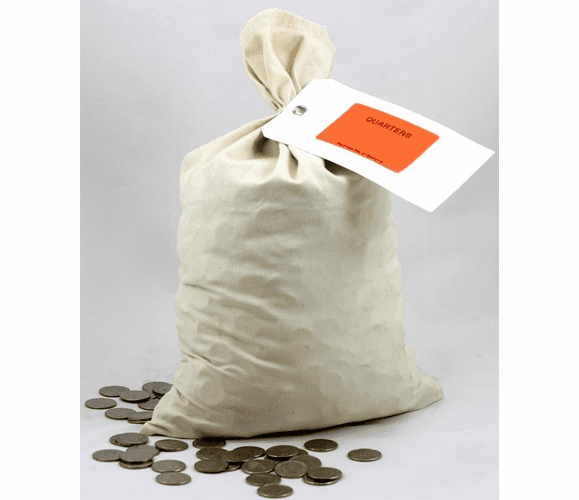Canvas Coin Bag 16" x 10" By Cassida