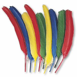 CKC4503 Quill Feathers, Assorted Colors, 24 Feathers/Pack By THE CHENILLE KRAFT COMPANY