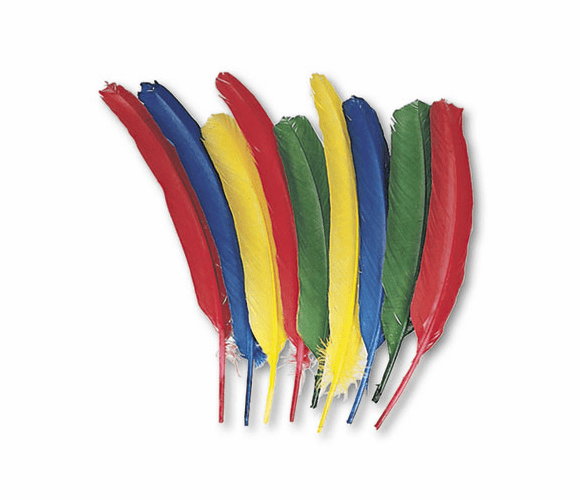 CKC4503 Quill Feathers, Assorted Colors, 24 Feathers/Pack By THE CHENILLE KRAFT COMPANY