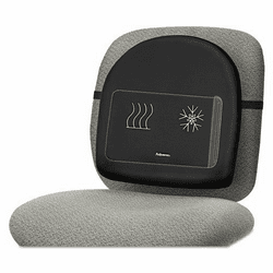 Climate Contol Back Rest, 14 1/2w x 3d x 13 5/8h,