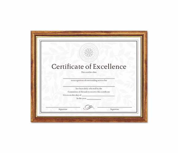 DAXN17981MT Two-Tone Document/Diploma Frame, Wood, 8-1/2 x 11, Maple w/Gold Leaf Trim By DAX MANUFACTURING INC.