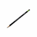 DIX13953 Woodcase Pencil, HB #2, Black Barrel, Dozen By DIXON TICONDEROGA CO.