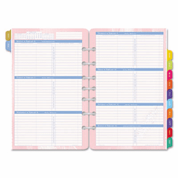 DTM096331301 Flavia Dated Two-Page-per-Week Organizer Refill, 5-1/2 x 8-1/2, 2013 By DAYTIMER'S INC.