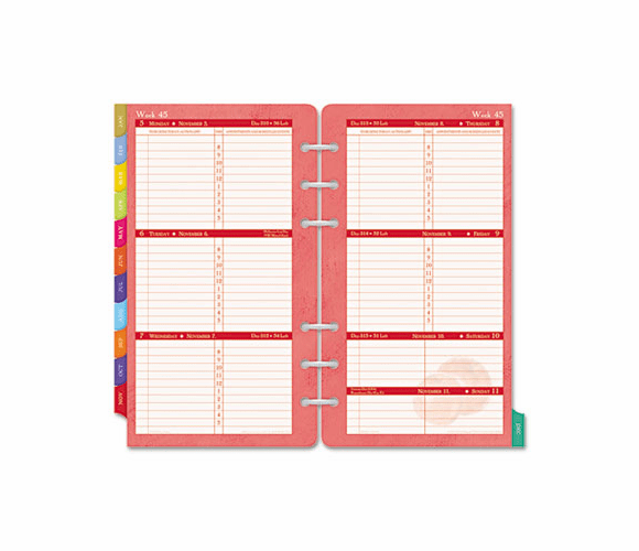 DTM096361301 Flavia Dated Two-Page-per-Week Organizer Refill, 3-3/4 x 6-3/4, 2013 By DAYTIMER'S INC.