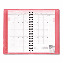 DTM112191301 Pink Ribbon Pocket Monthly Planner, 14 Month, 3-1/4 x 6-1/8, Pink, 2012-2014 By DAYTIMER'S INC.