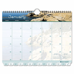DTM113521301 Coastlines Tabbed 12-Month Wirebound Wall Calendar, 11 x 8-1/2, 2013 By DAYTIMER'S INC.