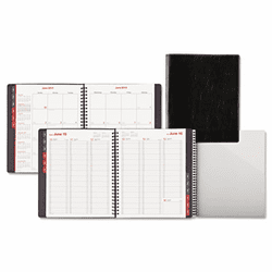 DTM333411301 Professional Weekly/Monthly Appointment Planner, 6-7/8 x 8-3/4, Black, 2013 By DAYTIMER'S INC.