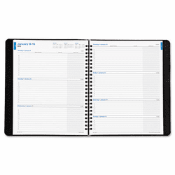 DTM474131301 Faux Croc Weekly/Monthly Wirebound Business Planner, 6-7/8 x 8-3/4, Red, 2013 By DAYTIMER'S INC.