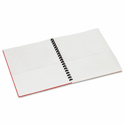 ESS99667 Eight-Pocket Organizer, Embossed Leather Grain, Assorted Colors w/White Pockets By ESSELTE PENDAFLEX CORP.