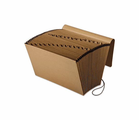 ESSK19DOX Essentials 1-31 Expanding File, 31 Pockets, Kraft, Legal, Brown By ESSELTE PENDAFLEX CORP.