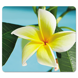FEL5913801 Recycled Mouse Pad, Nonskid Base, 7-1/2 x 9, Yellow Flowers By FELLOWES MFG. CO.