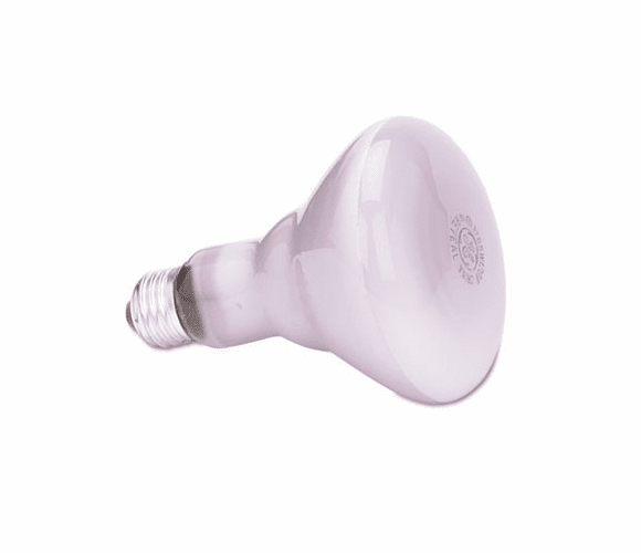 GEL48692 Incandescent Reflector Floodlight, 65 Watts By GENERAL ELECTRIC CO.