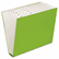 GLW20529 Case File, 12 Pocket, 3/4" exp., Letter, Green, 1/ea By CARDINAL BRANDS INC.