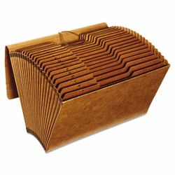 GLWR119ALHD Accordion Files with Flap, 21 Pockets, 1/3 Tab, Letha Tone, Legal, Brown By CARDINAL BRANDS INC.