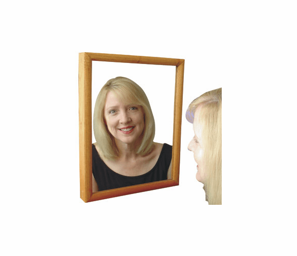 HC-MIRRO-DVR WOOD FRAME MIRROR HIDDEN CAMERA WITH BUILT-IN DVR By Armor