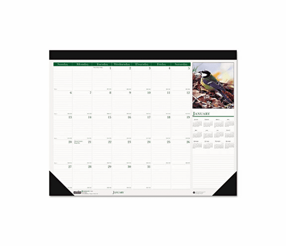 HOD192 Wild Birds Photographic Monthly Desk Pad Calendar, 22 x 17, 2013 By HOUSE OF DOOLITTLE