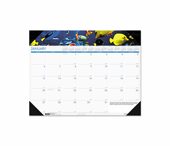 HOD193 Sea Life Photographic Monthly Desk Pad Calendar, 22 x 17, 2013 By HOUSE OF DOOLITTLE