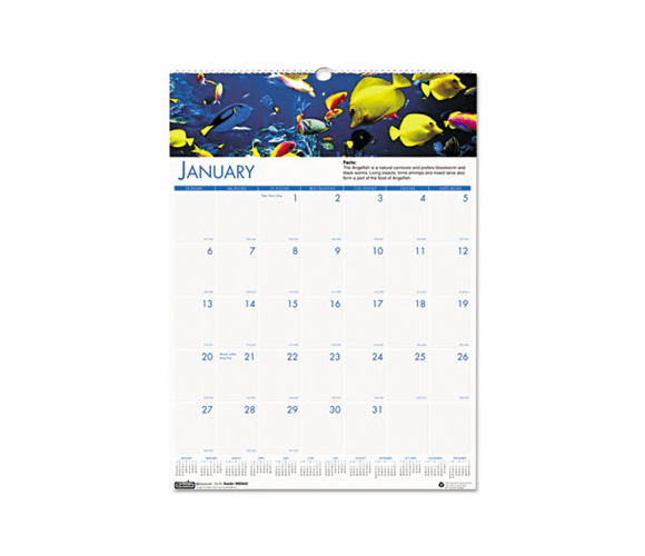 HOD3641 Sea Life Monthly Wall Calendar, 12 x 12, 2013 By HOUSE OF DOOLITTLE