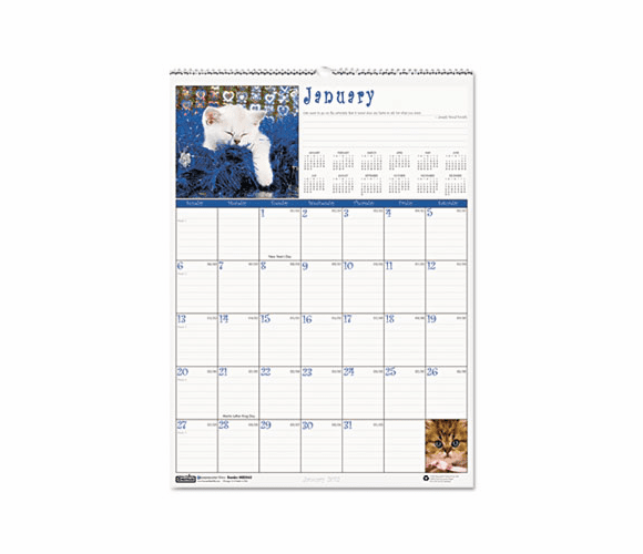 HOD3661 Kittens Monthly Wall Calendar, 12 x 12, 2013 By HOUSE OF DOOLITTLE