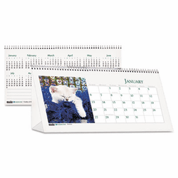 HOD3669 Kitten Photos Desk Tent Monthly Calendar, 8-1/2 x 4-1/4, 2013 By HOUSE OF DOOLITTLE
