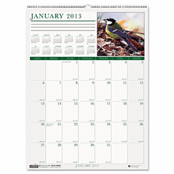 HOD3711 Wild Birds Monthly Wall Calendar, 12 x 12, 2013 By HOUSE OF DOOLITTLE