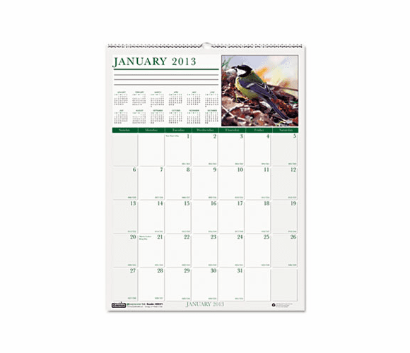 HOD3712 Wild Birds Monthly Wall Calendar, 12 x 16-1/2, 2013 By HOUSE OF DOOLITTLE