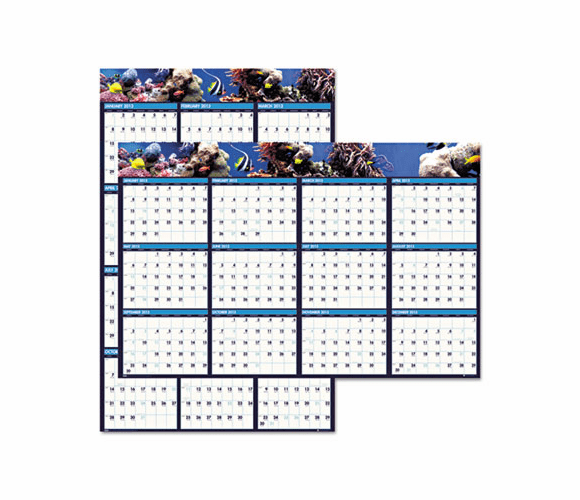 HOD3969 Earthscapes Sea Life Scenes Reversible/Erasable Wall Calendar, 24 x 37, 2013 By HOUSE OF DOOLITTLE